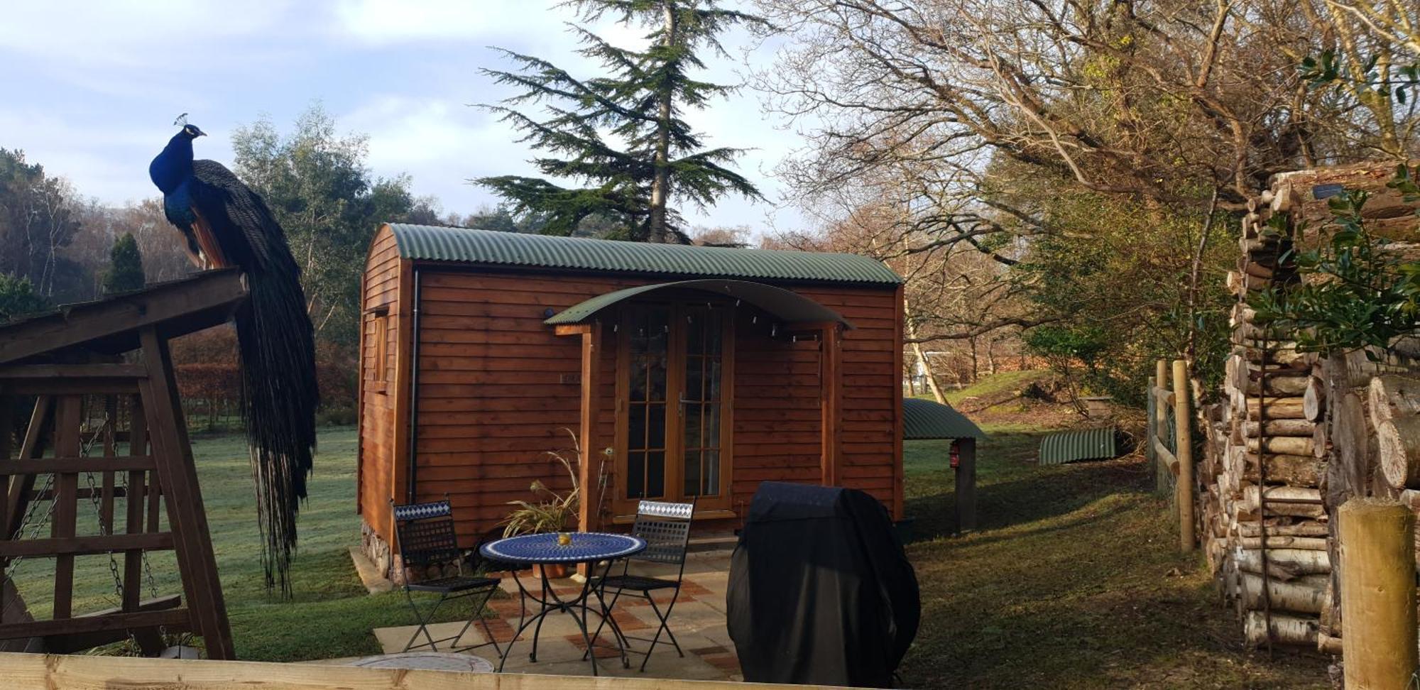 Sika Hut Villa Wareham Buitenkant foto